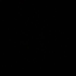 Meet your Posher, Symone